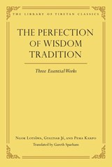 The Perfection of Wisdom Tradition - Gareth Sparham - 9780861714568