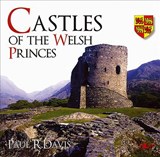 Castles of the Welsh Princes - Paul R Davis - 9780862439705