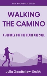 Walking the Camino: A Journey for the Heart and Soul - Julia Goodfellow-Smith - 9780863194894