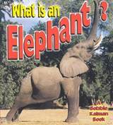 What is an Elephant - John Crossingham - 9780865059665