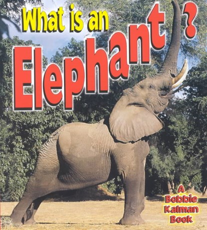What is an Elephant, John Crossingham - Paperback - 9780865059665