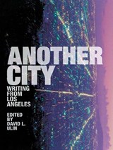 Another City - David L. Ulin - 9780872863910