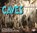 Caves, Stephen Kramer - Paperback - 9780876148969