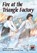 Fire at the Triangle Factory, Holly Littlefield - Paperback - 9780876149706