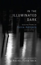 In the Illuminated Dark - Tuvia Ruebner - 9780878202553