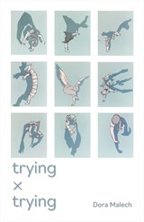 Trying x Trying - Dora Malech - 9780887487118