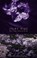 Fairy Ring, Martine Desjardins - Paperback - 9780889224490