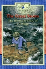 The Great Storm - Lisa Waller Rogers - 9780896727205