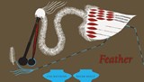 Feather - Cao Wenxuan ; Chloe Garcia-Roberts ; Roger Mello - 9780914671855