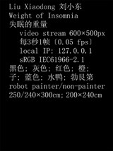 Liu Xiaodong: Weight of Insomnia - Karen Archey - 9780947830717