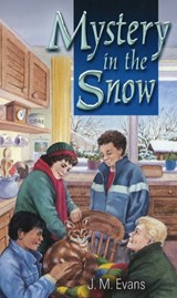 Mystery in the Snow - J M Evans - 9780953696338