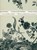 Timorous Beasties, Lesley Jackson - Gebonden - 9780954202699
