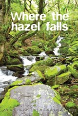 Where the Hazel Falls - Luke Eastwood; Ann Dalton; Wil Kinghan; Geraldine Moorkens Byrne; Adam Dunlea; Toddy Kennedy; Ted Sludds; Cait Branigan; Gemma McCabe - 9780955060717