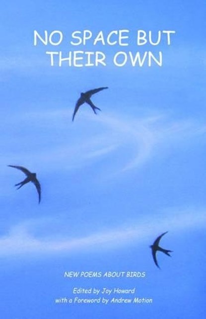 No Space But Their Own, Joy Howard - Paperback - 9780955295256