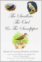 The Swallow, the Owl and the Sandpiper