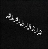 Nihilistic Optimistic - Tim Noble & Sue Webster - Gustav Metzger ; Jon Savage ; Hans-Ulrich Obrist - 9780956990457