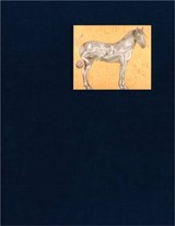 Francesco Clemente - CODOGNATO,  Mario ; Rosenthal, Norman - 9780956990464