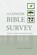 A Concise Bible Survey, CONE,  Christopher - Paperback - 9780976593034