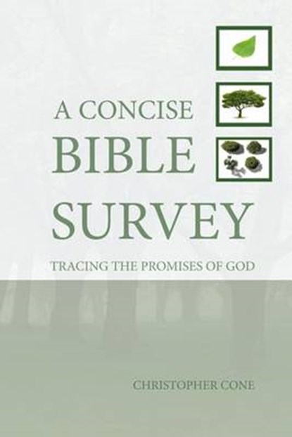A Concise Bible Survey, CONE,  Christopher - Paperback - 9780976593034