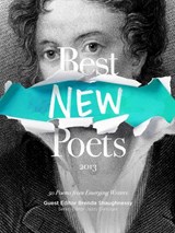 Best New Poets 2013 - SHAUGHNESSY,  Brenda - 9780976629689