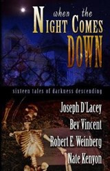 When The Night Comes Down - Bev Vincent ; Robert E Weinberg ; Nate Kenyon - 9780977968657