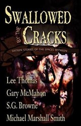 Swallowed By The Cracks - Gary McMahon ; S G Browne ; Michael Marshall Smith - 9780977968664