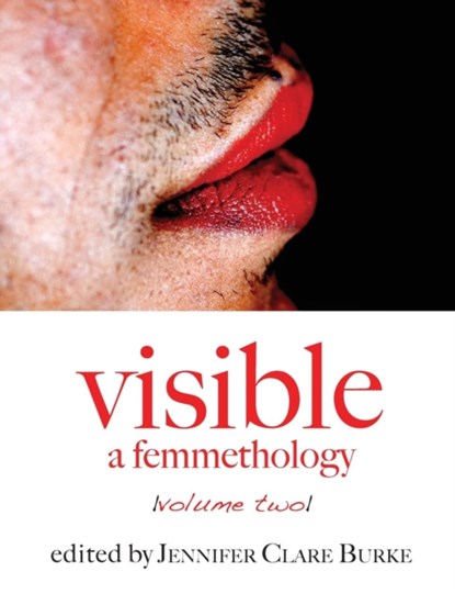 Visible, Jennifer Clare Burke - Paperback - 9780978597351
