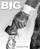 Big - Lloyd Pye - 9780979388132