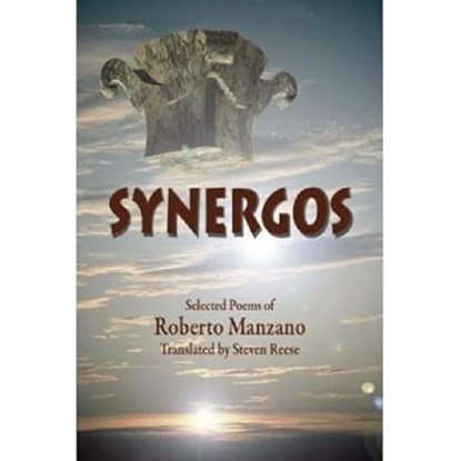 Synergos, niet bekend - Paperback - 9780979745010