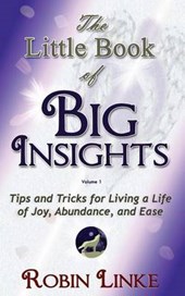 The Little Book of BIG Insights Volume I
