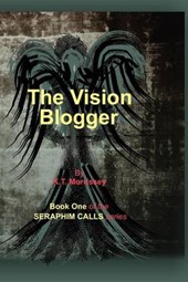 The Vision Blogger