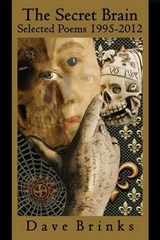 The Secret Brain - BRINKS,  Dave - 9780985612214