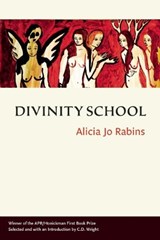 Divinity School - RABINS,  Alicia Jo - 9780986093883