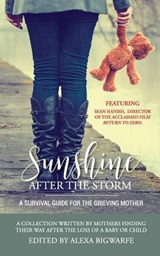 Sunshine After the Storm - Alexa H Bigwarfe - 9780989934718