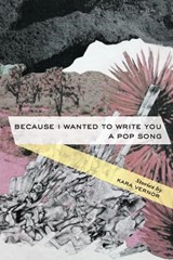 Because I Wanted to Write You a Pop Song: Stories - Kara Vernor - 9780990903574