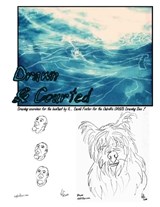 Drawn & Courted - R David Foster - 9780991785223