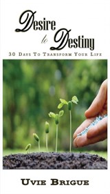 Desire to Destiny - Uvie Brigue - 9780993386053