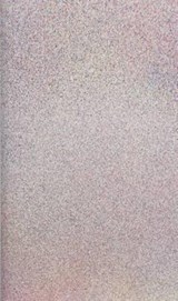 Microaggressions - Erik Stinson ; Jessie Chandler ; William Shutes - 9780993569302