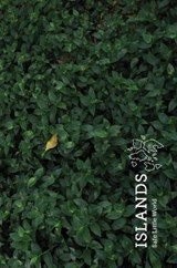 Islands (Special Edition) - Andrew Killick - 9780995118911
