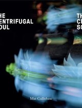Mat Collishaw - Craig Burnett ; Mat Collishaw ; Waldemar Januszczak ; Geoffrey Miller - 9780995490932