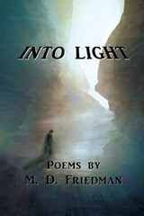 Into Light - M D Friedman - 9780998548784