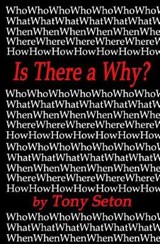 Is There a Why? - Tony Seton - 9780998960593