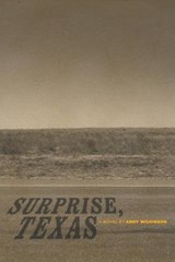 Surprise, Texas - WILKINSON,  Andy - 9780999756119