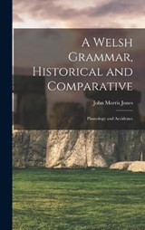A Welsh Grammar, Historical and Comparative - John Morris Jones - 9781015849297