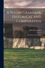 A Welsh Grammar, Historical and Comparative - John Morris Jones - 9781015858619