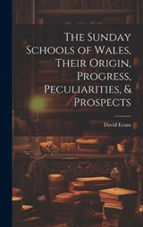 The Sunday Schools of Wales, Their Origin, Progress, Peculiarities, & Prospects - David Evans - 9781019871843