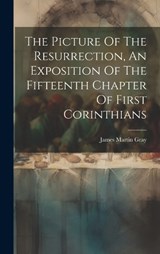 The Picture Of The Resurrection, An Exposition Of The Fifteenth Chapter Of First Corinthians - James Martin Gray - 9781020163456
