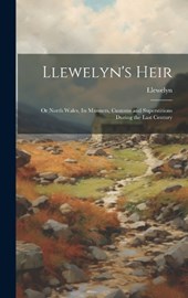Llewelyn's Heir