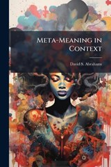 Meta-Meaning in Context - David S Abrahams - 9781025119762