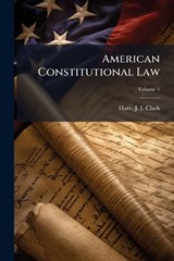 American Constitutional Law -  - 9781025188133